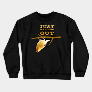 Cute Bird Hanging Upside Down With Text T-shirt Crewneck Sweatshirt